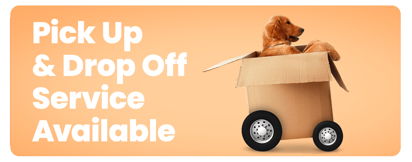 pickup service