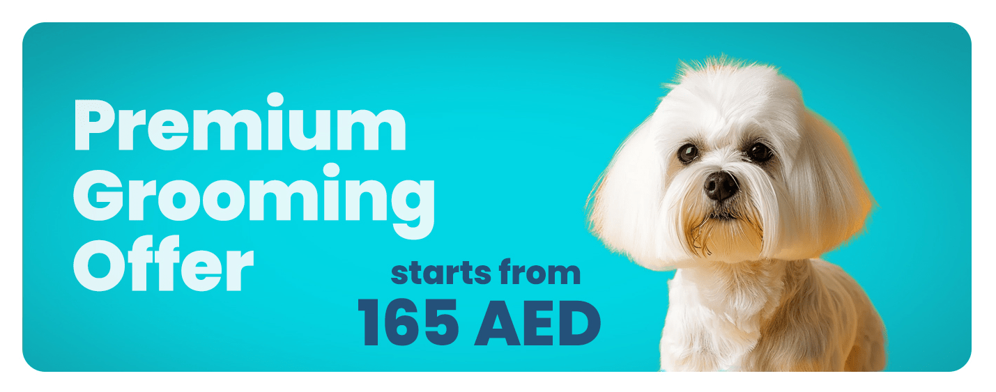 premium grooming